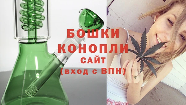 спиды Арсеньев